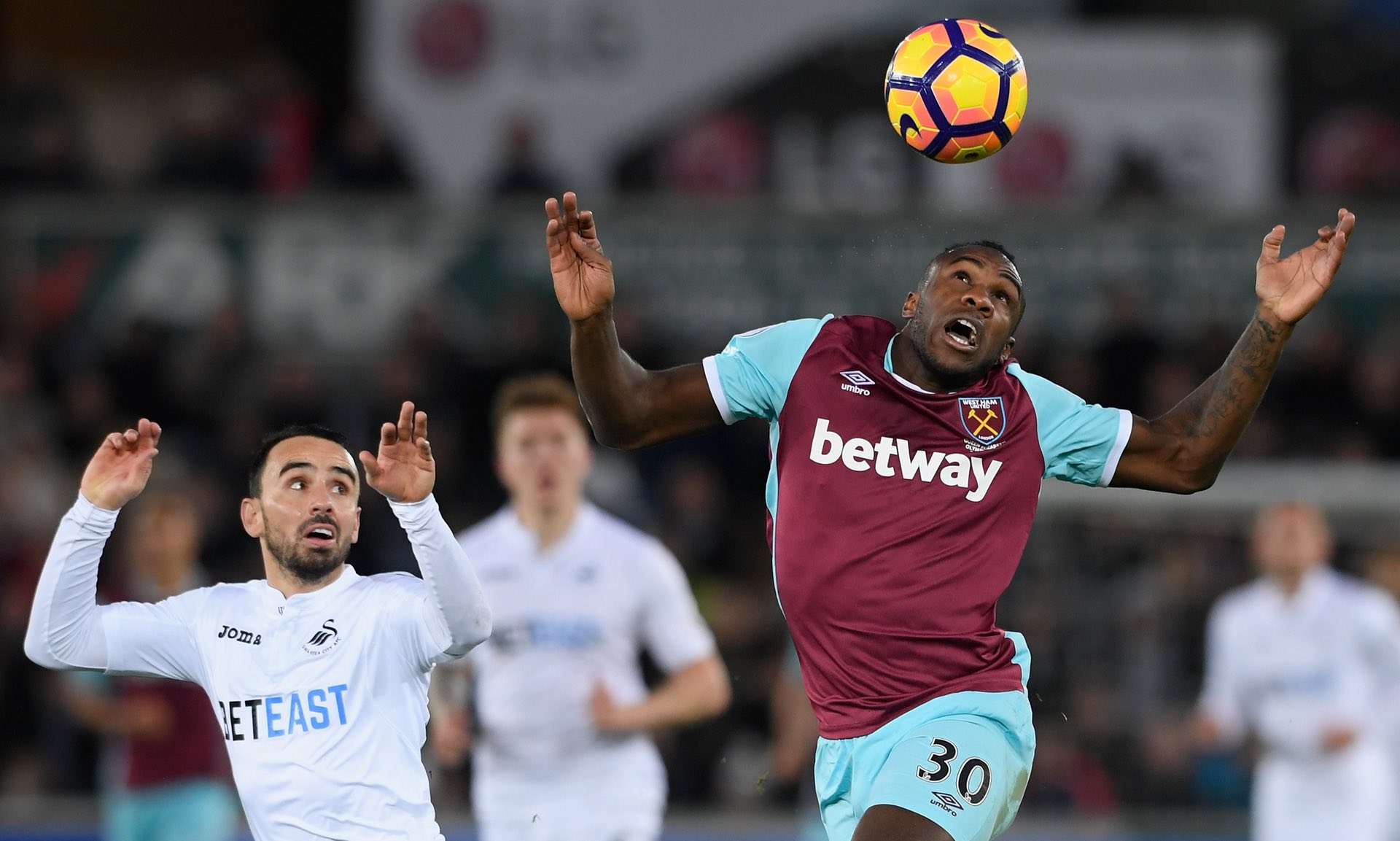 安排不仅展 安排不仅展